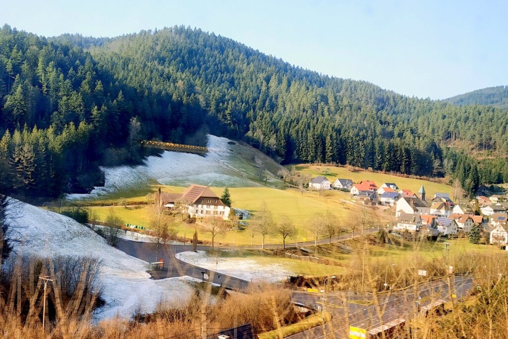 Train Journey through Black Forest in Winter