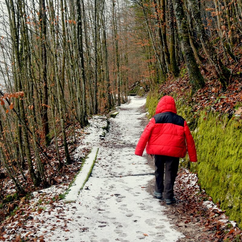 Hallstatt Snow Trail