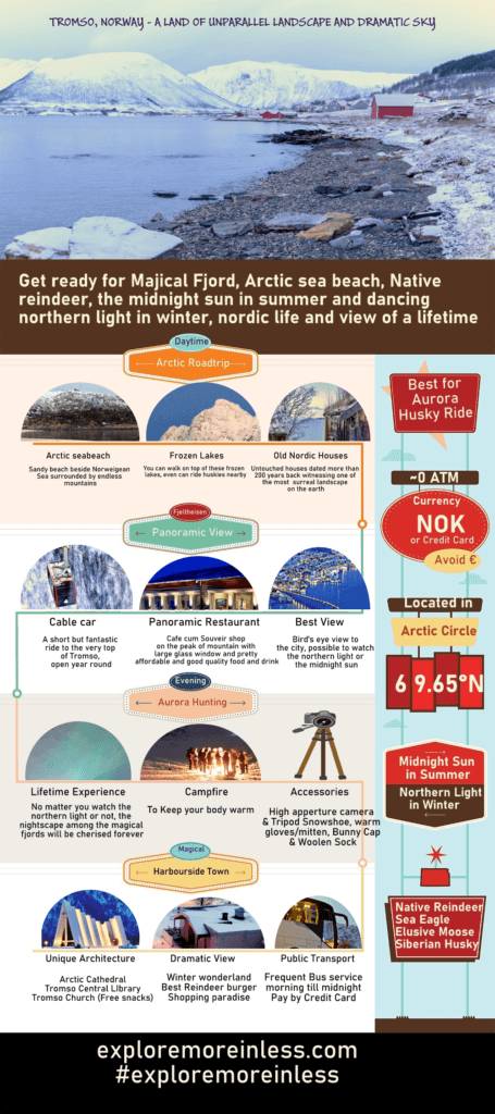 Tromso_What to Expect in the Arctic