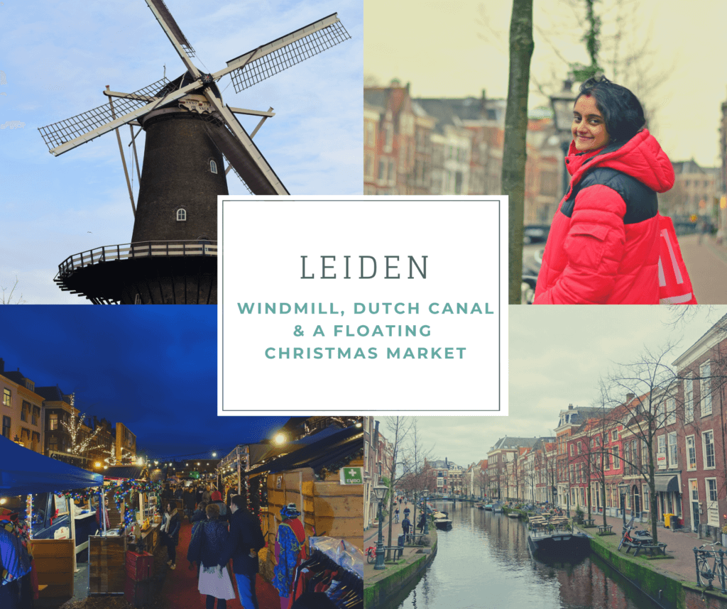 Leiden Infographic