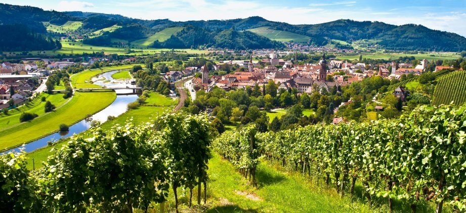 Gengenbach panorama view