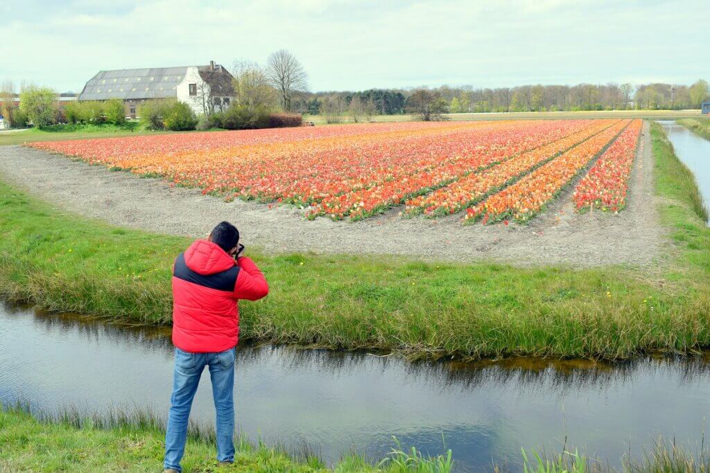 Photographing Tulip Fields