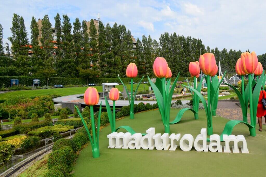 Artificial Tulips at Madurodam