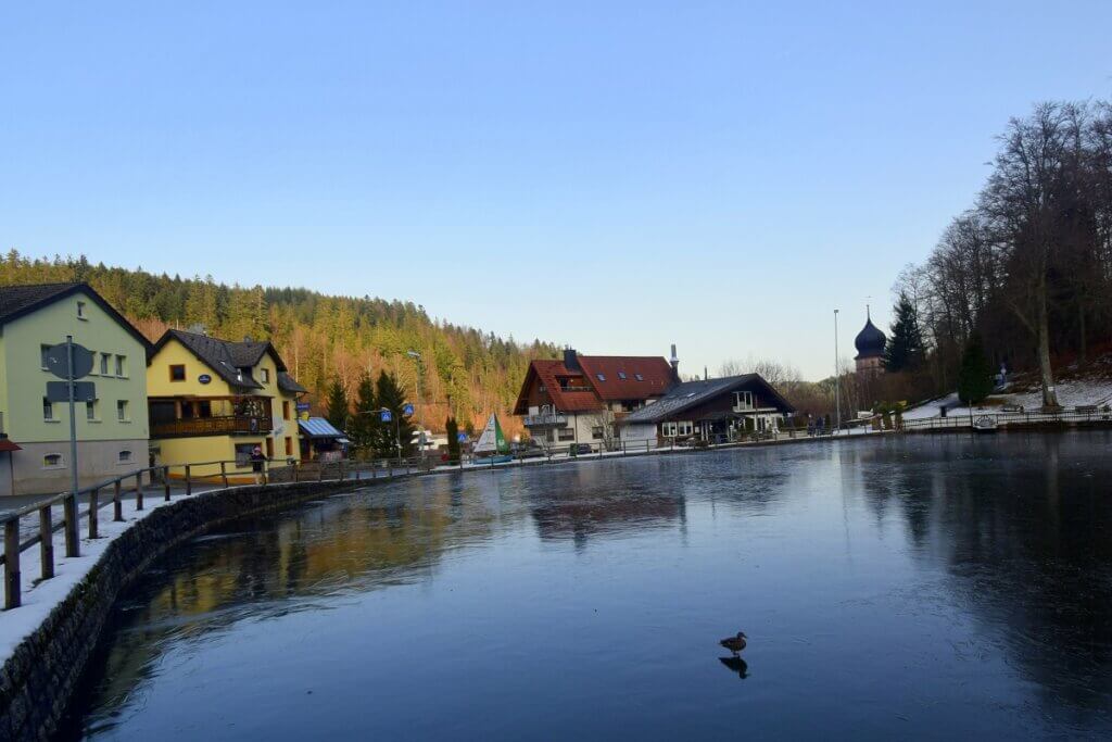 Frozen Lake at Germany Black Forest