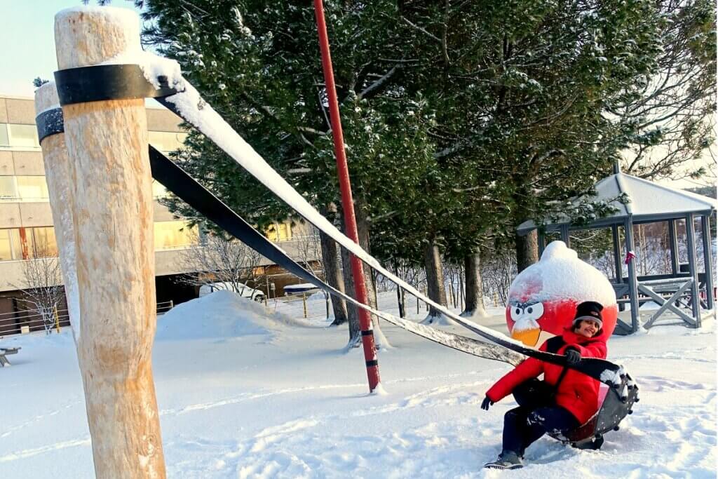 Catapult at Angry Bird Park