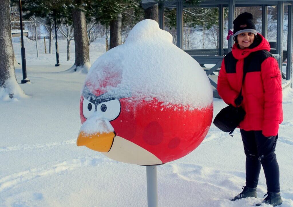 Cute Angry Bird Figurine