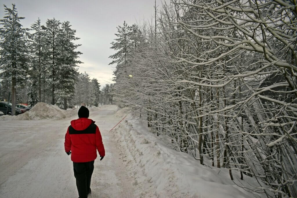 Walking in the Woods