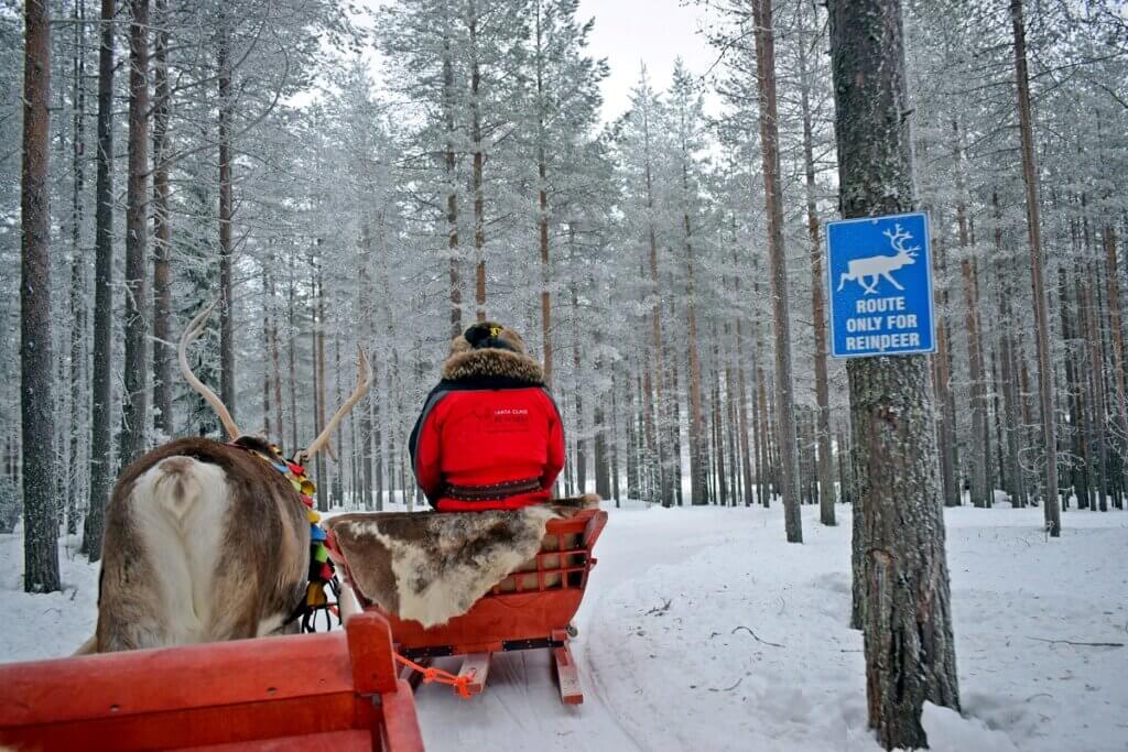 Reindeer Route in Rovaniemi