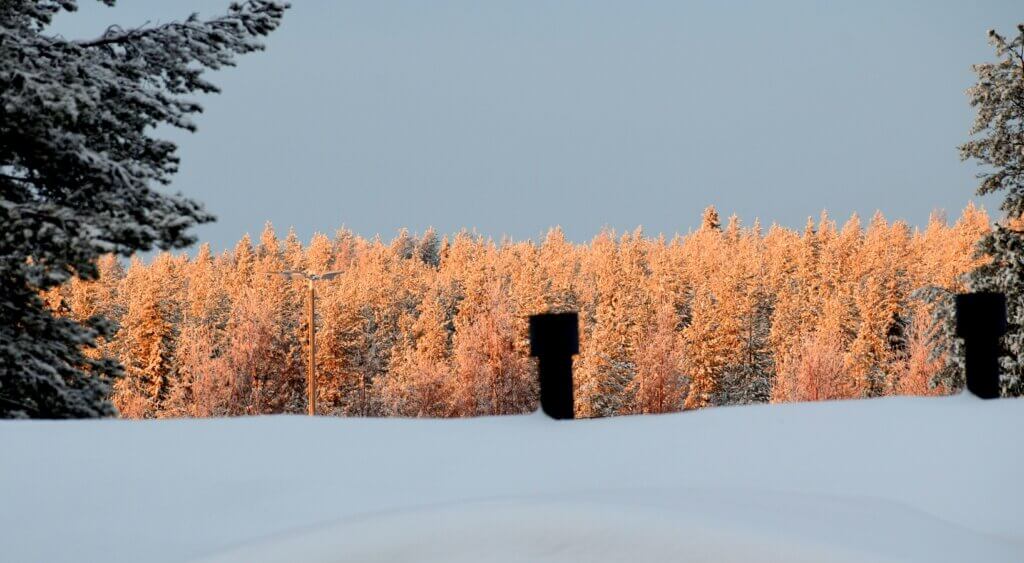 Ray of Sun in Polar Night