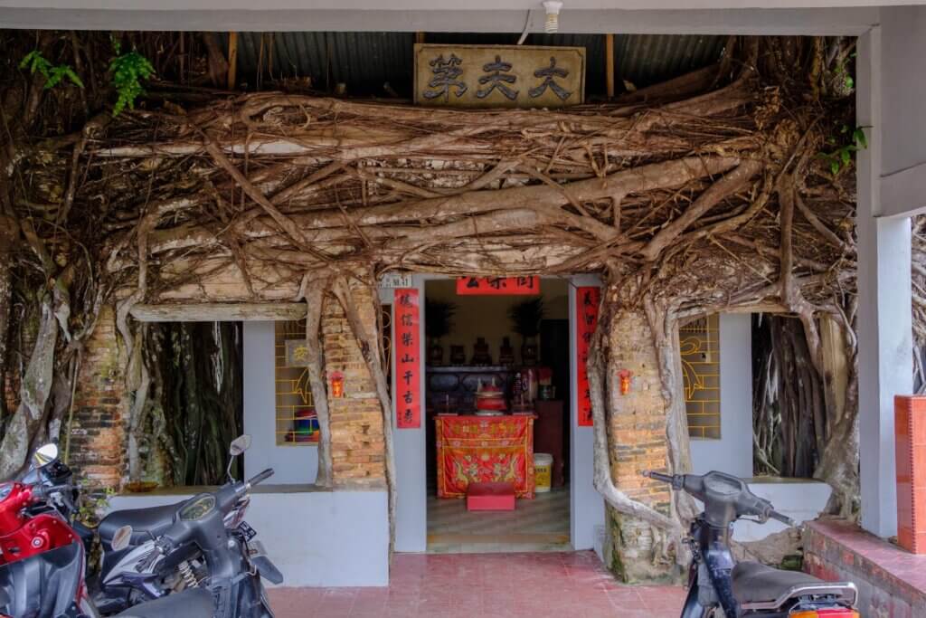 Banyan Tree Temple Senggarang