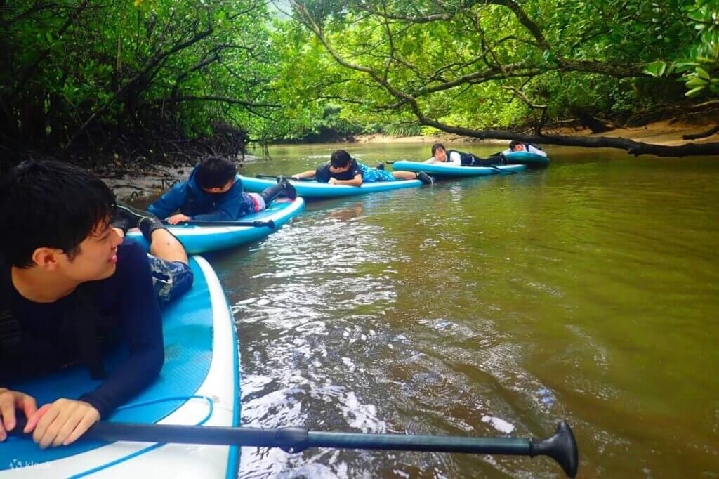 Mangrove Kayaking Bintan